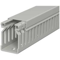 OBO Bettermann 6178010 Kabelgoot (l x b x h) 2000 x 25 x 40 mm 1 stuk(s) Steen-grijs - thumbnail