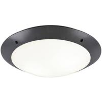 LED Plafondlamp - Badkamerlamp - Trion Camiro - Opbouw Rond - Waterdicht IP54 - E27 Fitting - 2-lichts - Mat Antraciet - Kunststof - thumbnail