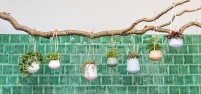 present time PT2845GR plantenbak Binnen Plantenpot Ophanging Keramisch Groen present time PT2845GR plantenbak Binnen Plantenpot Ophanging Keramisch Groen