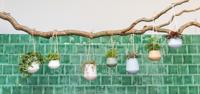 present time PT2845GR plantenbak Binnen Plantenpot Ophanging Keramisch Groen - thumbnail