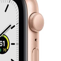 Apple Watch SE 44mm (2020) / SV - thumbnail
