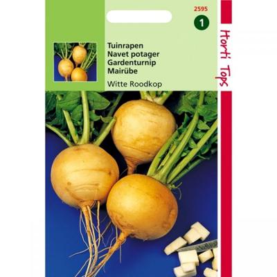 Zaden Rapen Goldana (Goudbal Kortlof) Hortitops - Hortitops