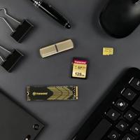 Transcend Premium 500S SDXC-kaart 128 GB Class 10, UHS-I, UHS-Class 3, v30 Video Speed Class - thumbnail