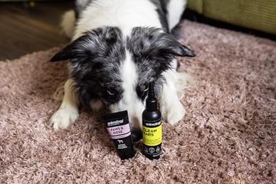 Animology Clean Ears Animology Clean Ears