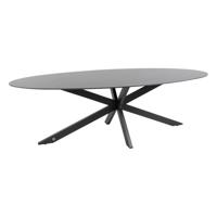 4SO Privada ovale tuintafel - HPL slate antraciet - 240x107 cm. - thumbnail