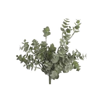 Eucalyptus groen Countryfield - Countryfield