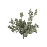 Eucalyptus groen Countryfield - Countryfield - thumbnail