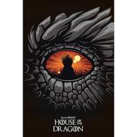 Poster House of the Dragon - 61x91,5cm - thumbnail