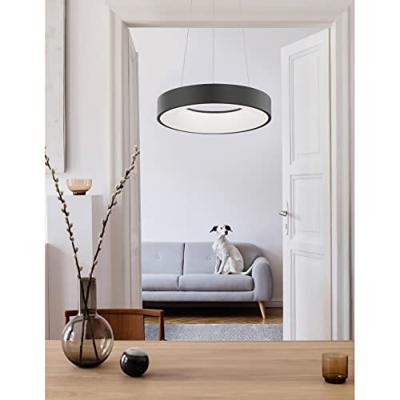 Lyora HanglampRando Thin zwart Ø 38cm - 9453431