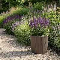 Capi nature groove nl conisch vaas 45x41 cm warme taupe - thumbnail