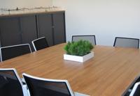 Peperomia Happy Bean boeket - thumbnail