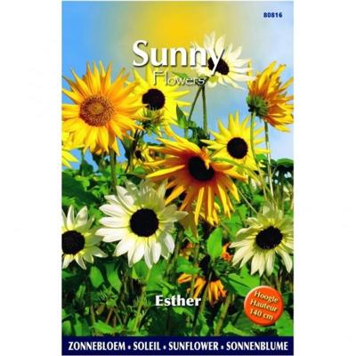 Zaden Sunny Flowers Zonnebloem Esther Buzzy - Buzzy