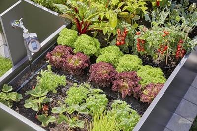 Startset voor verhoogde bloembedden en moestuinen (35 planten) - Gardena - thumbnail