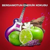 Old spice Old Spice Rockstar 3 in 1 body-hair-face wash 400 ML - thumbnail