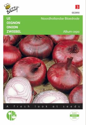 Ui Noordhollandse Bloedrode Ui Noordhollandse Bloedrode