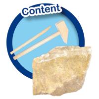 SES Bikken dino skelet T-Rex - thumbnail