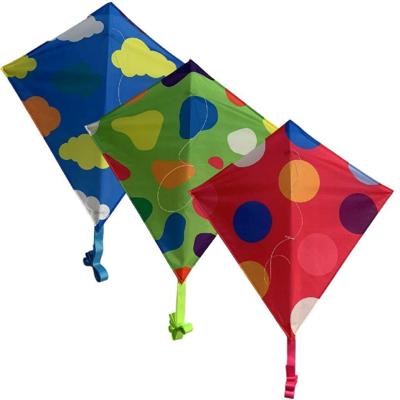 Rhombus Junior Diamond Vlieger Assorti