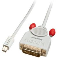 41957 Mini DisplayPort naar DVI-D kabel wit 2m - thumbnail