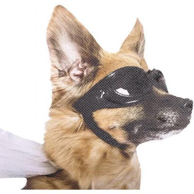 thumbsUp! autoraamsticker Ride with Hond 30,5 x 30 cm vinyl thumbsUp! autoraamsticker Ride with Hond 30,5 x 30 cm vinyl