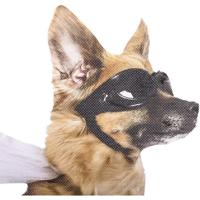 thumbsUp! autoraamsticker Ride with Hond 30,5 x 30 cm vinyl - thumbnail