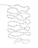 HEMA Lichtsnoer 12.42m met 100 LED lampjes voor binnen en buiten (wit) - thumbnail