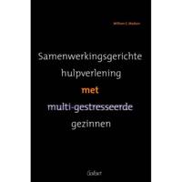 Samenwerkingsgerichte hulpverlening bij multi-gestresseerde gezinnen (Paperback) - thumbnail