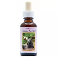 Animal Essences Moose (eland) 30 Milliliter - thumbnail