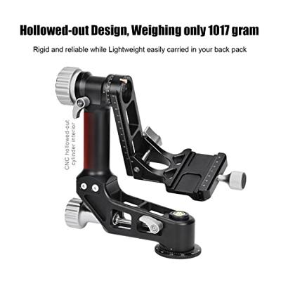 Sunwayfoto Gimbal Head w/ QR Plate GH-02