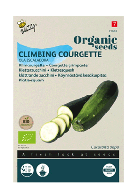 Seeds courgette ola escaladora 6 zaden Buzzy - Buzzy