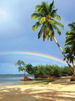 Tropen regenboog 50x70cm Tuinschilderij Customize-it - Customize it