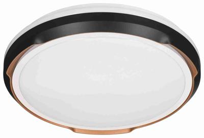 Activejet LED plafondlamp AJE-PETRUS 24W