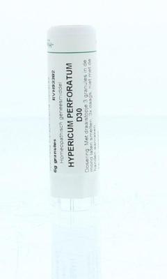 Homeoden Heel Hypericum perforatum D30 6 Gram