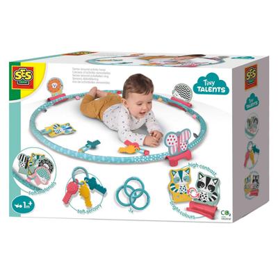 SES Activiteiten hoepel