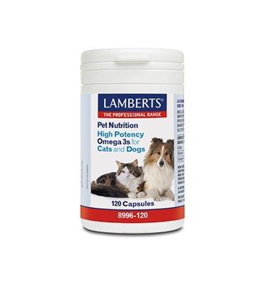 Lamberts Omega 3 voor Kat en Hond Capsules