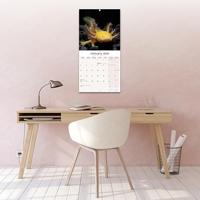 Axoloths Kalender 2026 - thumbnail