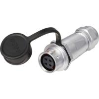 Weipu SF1211/S4 I Ronde connector Koppeling, recht Totaal aantal polen: 4 Serie (ronde connectoren): SF12 1 stuk(s) - thumbnail