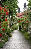 Alexsar Art Tuindoek rozenpad 210x140cm - thumbnail