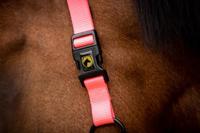 Excellent Horse Essential Halster XS Mini Foal Roze - thumbnail