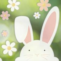 Raamstickers Paashaas Bloemen - thumbnail