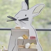 Ginger Ray etagère traktatiestandaard paashaas 47,5 cm | 5 stuks - thumbnail