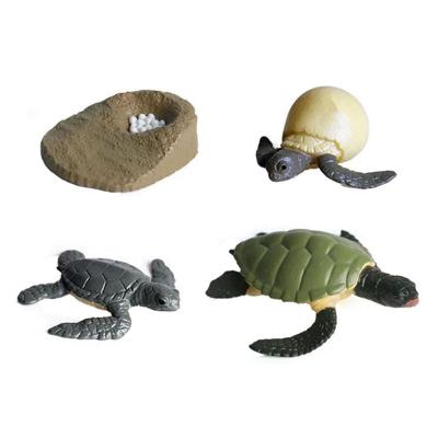Cycplus Levenscyclus schildpad speelfiguren set