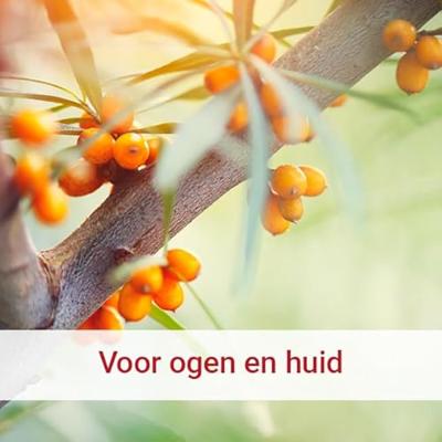 Vitalize Duindoornbesolie