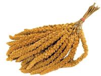 DE VRIES TROSGIERST 1 KG - thumbnail