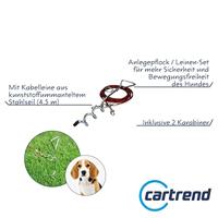 cartrend 10195 Tentharing 1 stuk(s) - thumbnail