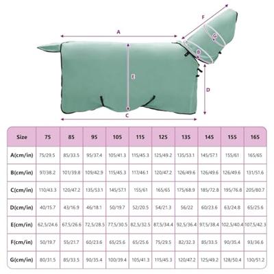 VidaXL Paardendeken speciale groen polyester