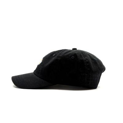 Sportcap Dickies Hardwick Zwart (Één maat)