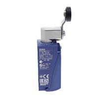 Telemecanique XCKP2118P16 XCKP2118P16 Eindschakelaar Rolhendel IP66/IP67 1 stuk(s) - thumbnail