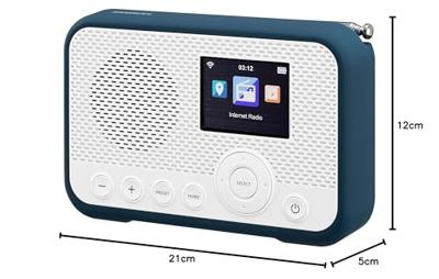 Sangean WFR-39 Zakradio met internetradio Internet, DAB, VHF (FM) Internetradio, FM, WiFi Spotify, Wekfunctie, Oplaadbaar Wit, Blauw