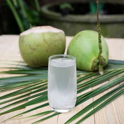 Bamboo Tree - Kokoswater - 1 ltr