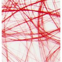 Vaessen Creative • sizoweb 5mx10cm felrood - thumbnail